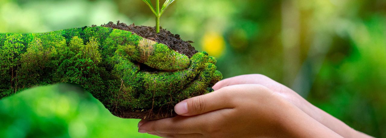 Green hand with plant